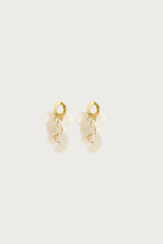 Iridescent Charm Dangling Earrings