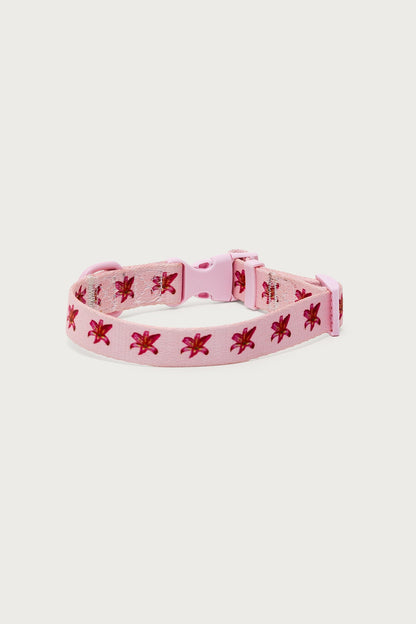 Daylily Pet Collar