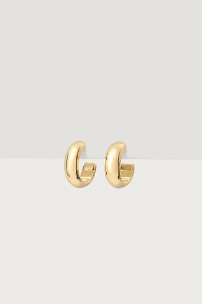 Small Hoop Earrings