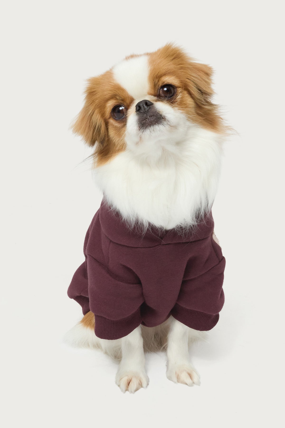 Starly Pet Hoodie