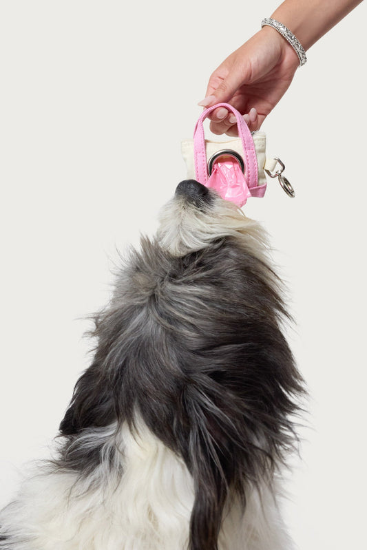 Tidy Tote Poop Bag Holder